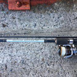 太刀とチーバス