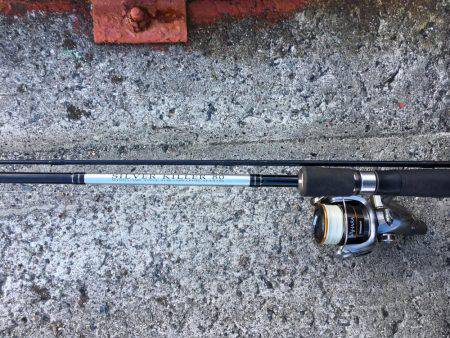 太刀とチーバス