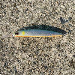 松村渡船さんにて