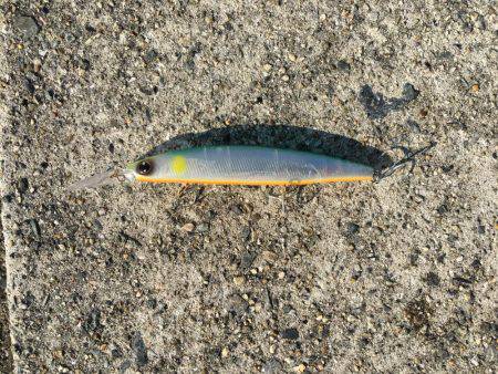 松村渡船さんにて