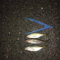 アジングは楽しい