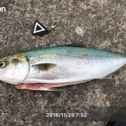 夜明け前の一瞬のボイル