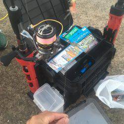 落ちてたサビキの針で