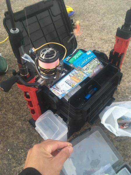 落ちてたサビキの針で