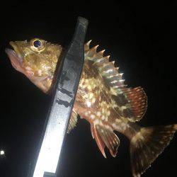 あからさま過ぎです(● ˃̶͈̀ロ˂̶͈́)੭ꠥ⁾⁾