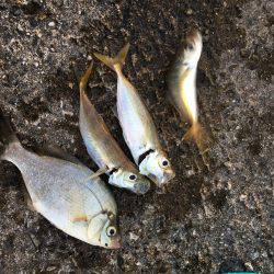 う〜ん、納得できない。