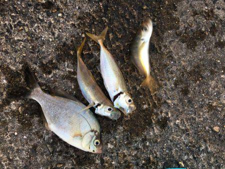 う〜ん、納得できない。