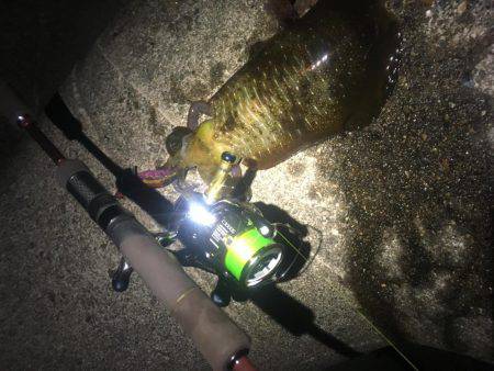 とにかく1杯❗️