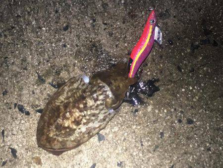 午前3時から朝までの予定でしたが。