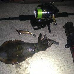 何処に潜んでるんだ？