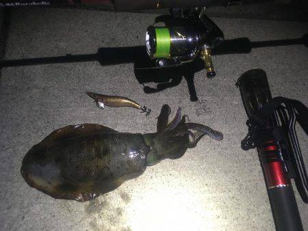 何処に潜んでるんだ？