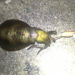 今夜も貸し切り♪