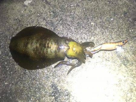 今夜も貸し切り♪