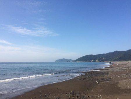 ソウダはお留守？