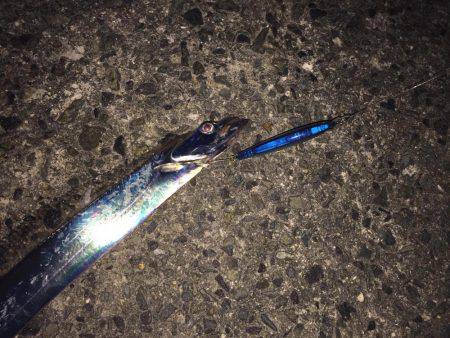 タチウオ釣行①