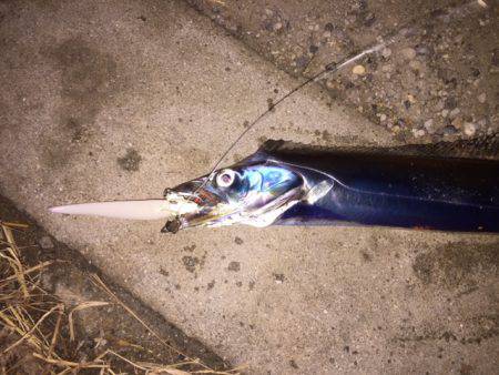 ガンガンしゃくりでガッチリ!