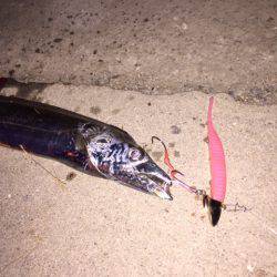 渋いアタリをなんとか拾いました