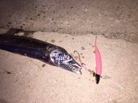 渋いアタリをなんとか拾いました