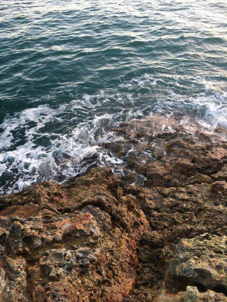 サッパリ朝マズメ釣行