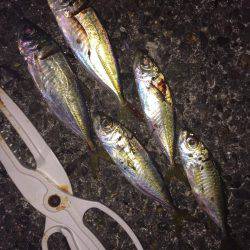 ライトライトライト