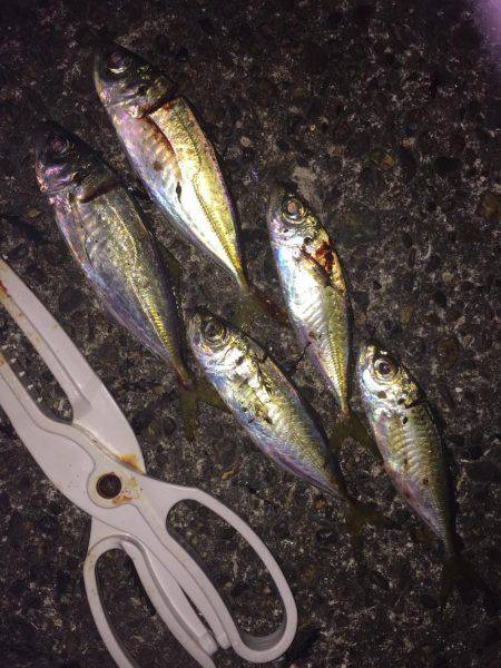 ライトライトライト