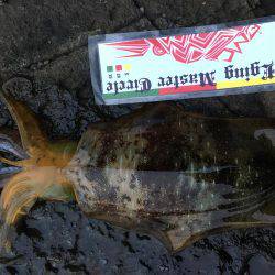 夕マズメ釣行！