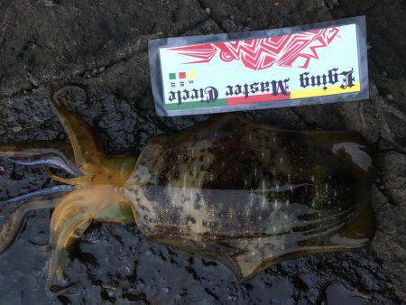 夕マズメ釣行！