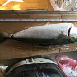 青物、自己記録