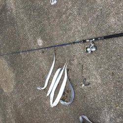 太刀魚ゲッツ！