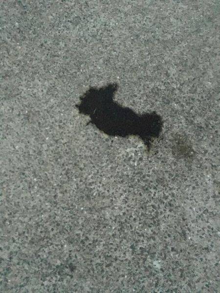 天気は荒れてましたが