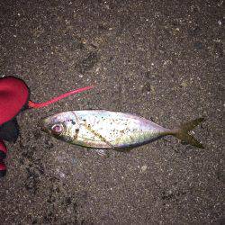 ワインド難しい?