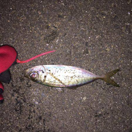 ワインド難しい?