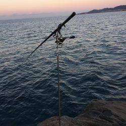 ヤエン時々ロックフィッシング