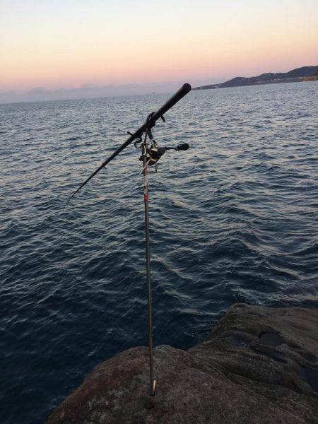 ヤエン時々ロックフィッシング