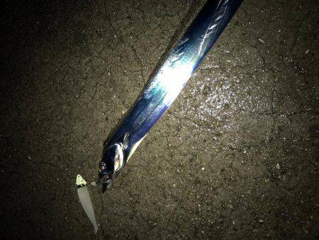 エイリアン・サーベル