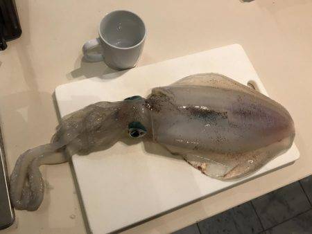 秋なのに〜╰(*´︶`*)╯♡