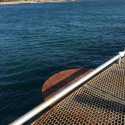 さ、さ、寒いですがエギング