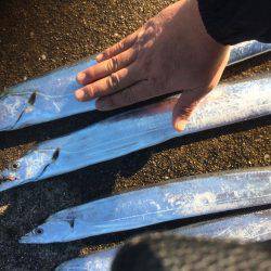 いろいろあって…