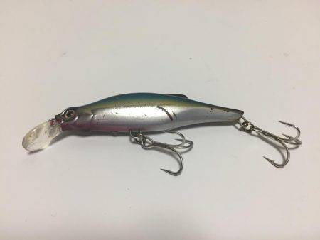 青物狙いだったが…