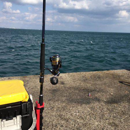 夕まずめ一瞬だけボイル！！