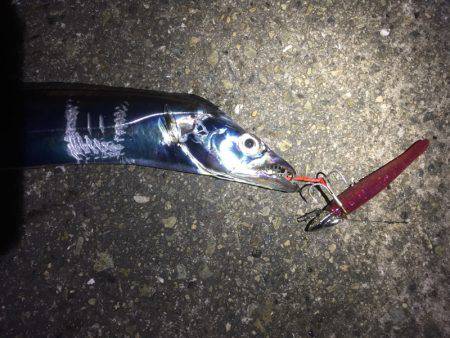 渋さが増してる気がします