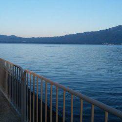 アジングのちサゴシ