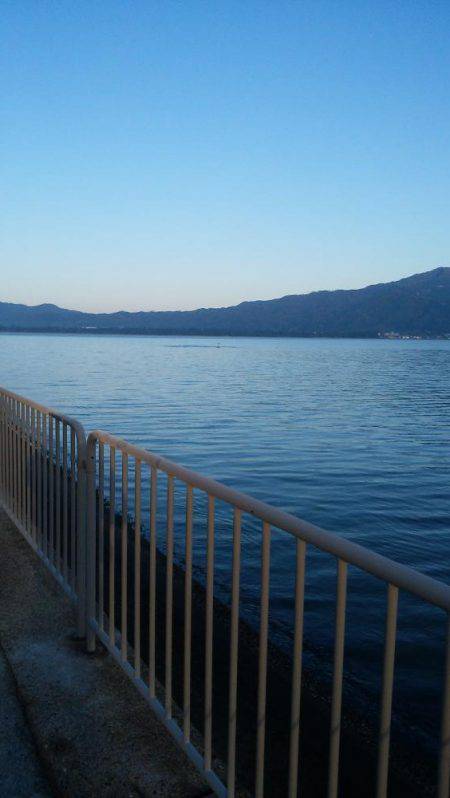 アジングのちサゴシ