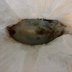 スーパームーン