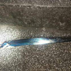 ジグでタチウオ