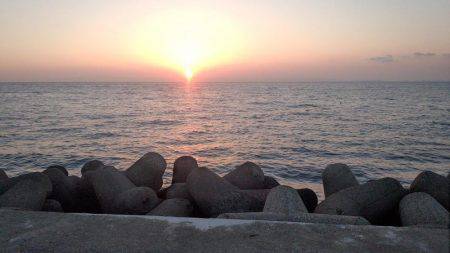 大きくなったイカさんは?!