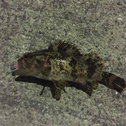 いつもと違うとこに‼