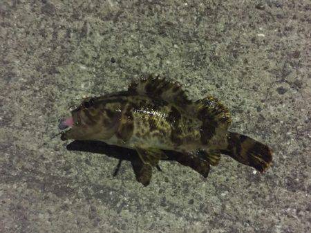 いつもと違うとこに‼