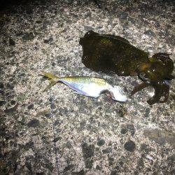 悪天候になる前に