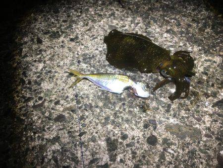 悪天候になる前に